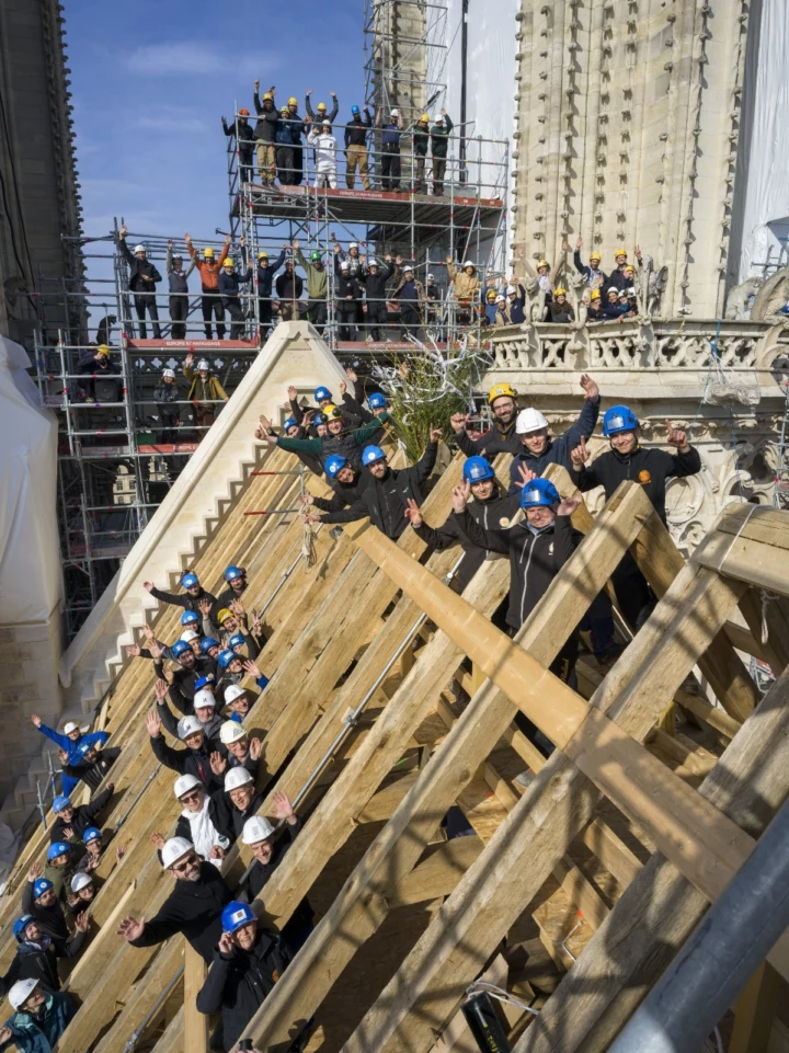 Forum Hank Body Image2