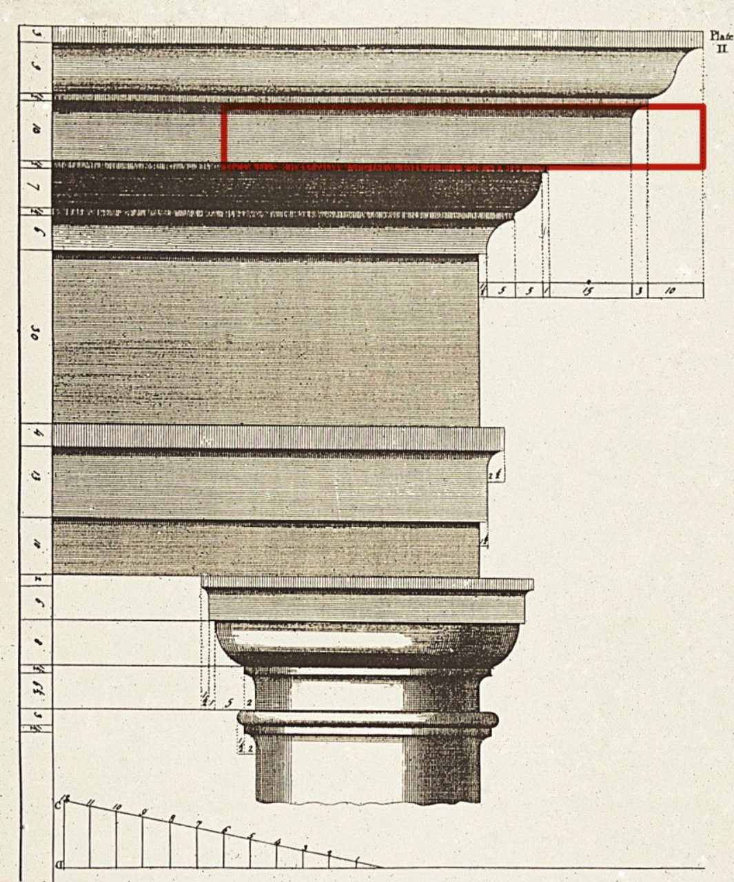 Fascia