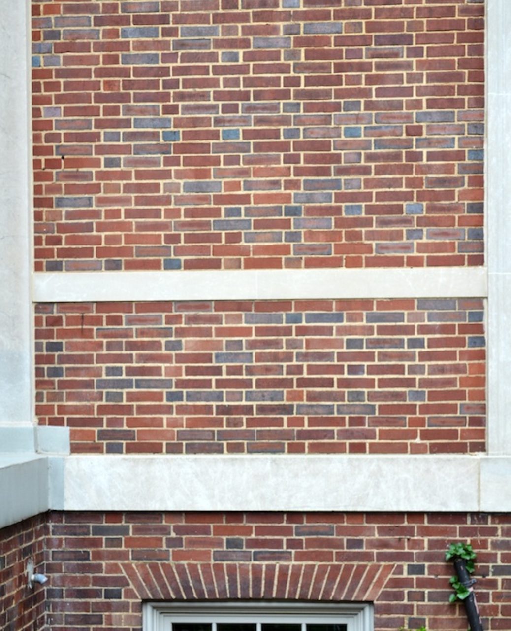 Cohen Hall detail