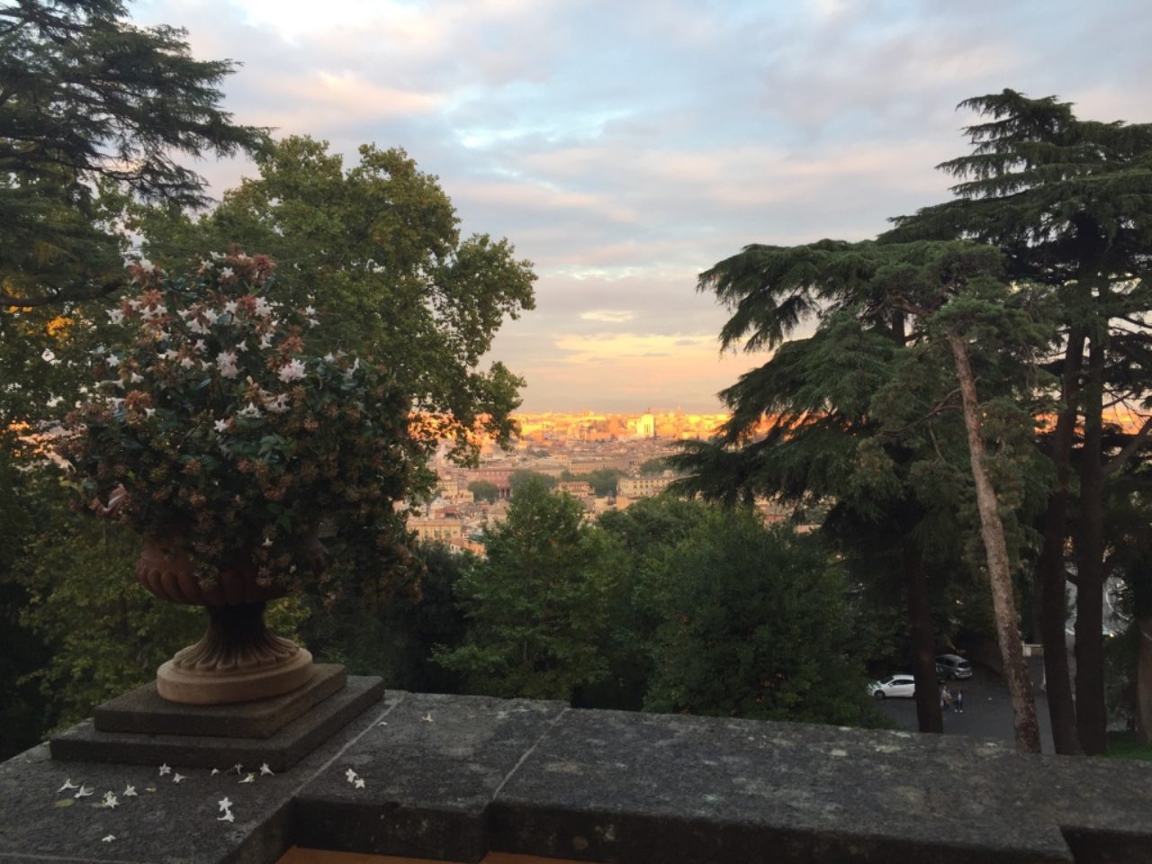 View of the city from the American Academy